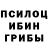 Галлюциногенные грибы GOLDEN TEACHER Still Bro