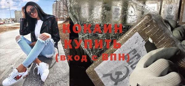 шишки Касимов