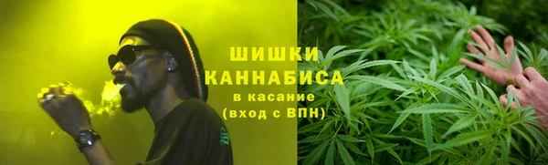 шишки Касимов