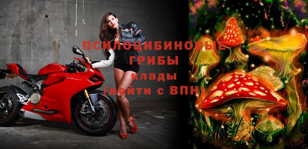 ПСИЛОЦИБИНОВЫЕ ГРИБЫ Киренск
