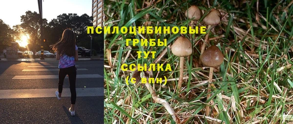 шишки Касимов