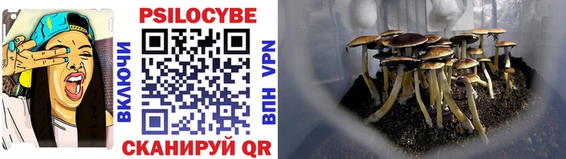 Купить где  Вятские Поляны  Галлюциногенные грибы GOLDEN TEACHER 